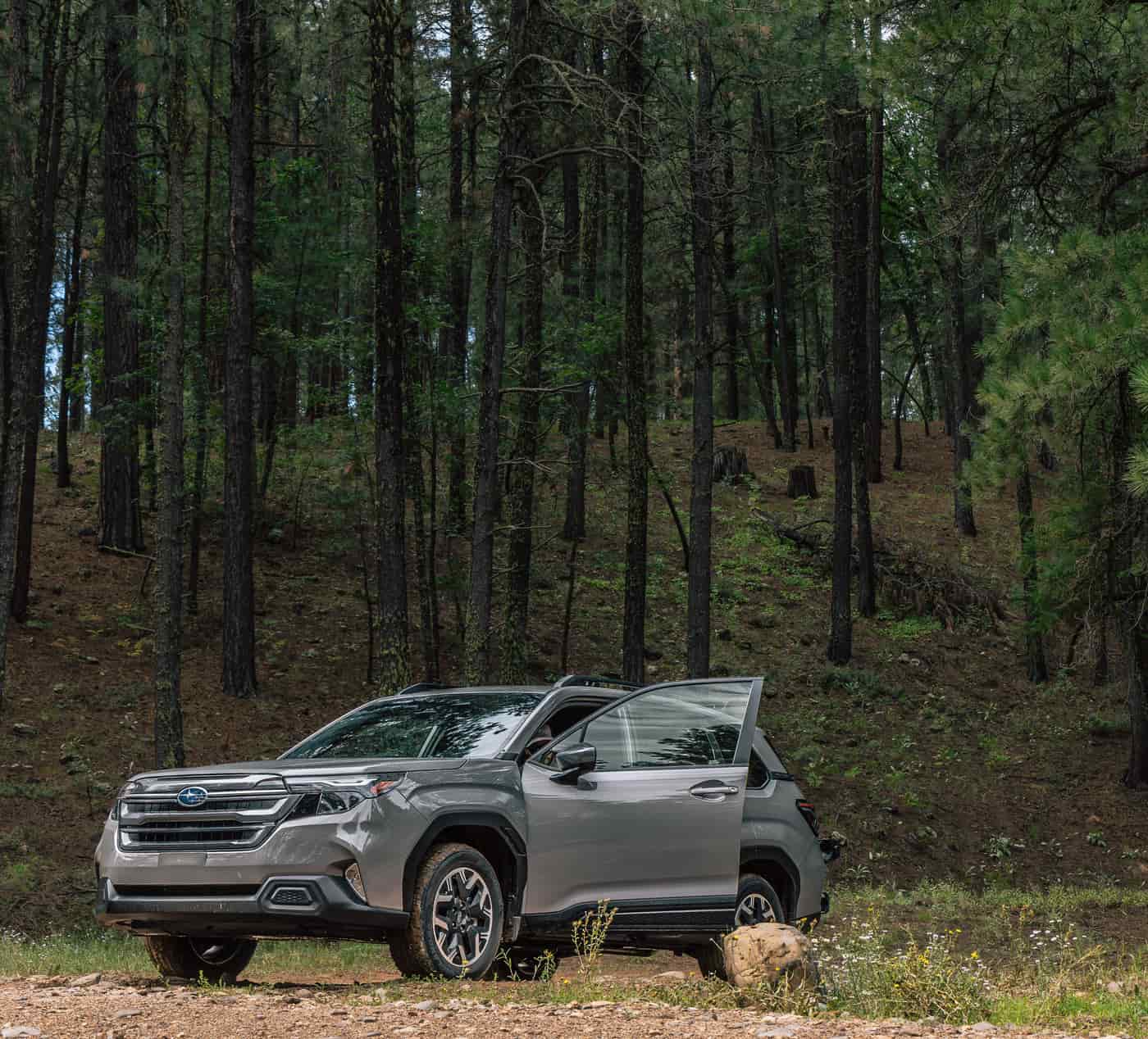 An SUV parked in a forest clearing with the tailgate open