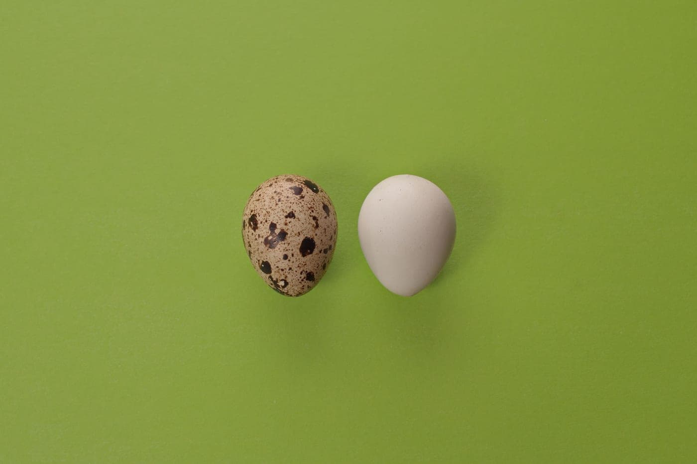 Two similar objects photographed side by side for comparison