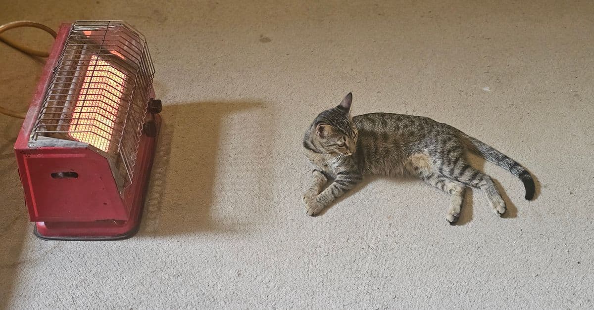 An electric space heater warming a carpeted room